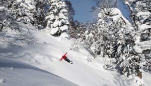 Appi Kogen Travel & Co
