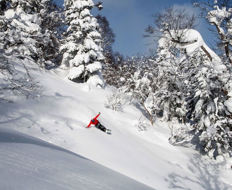 Appi Kogen Travel & Co