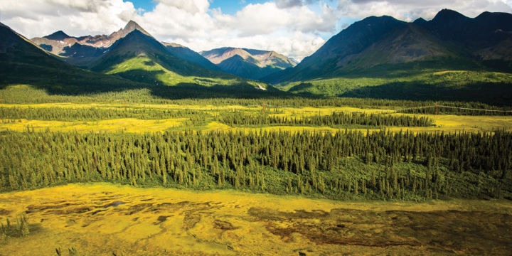 Grand Denali National Park