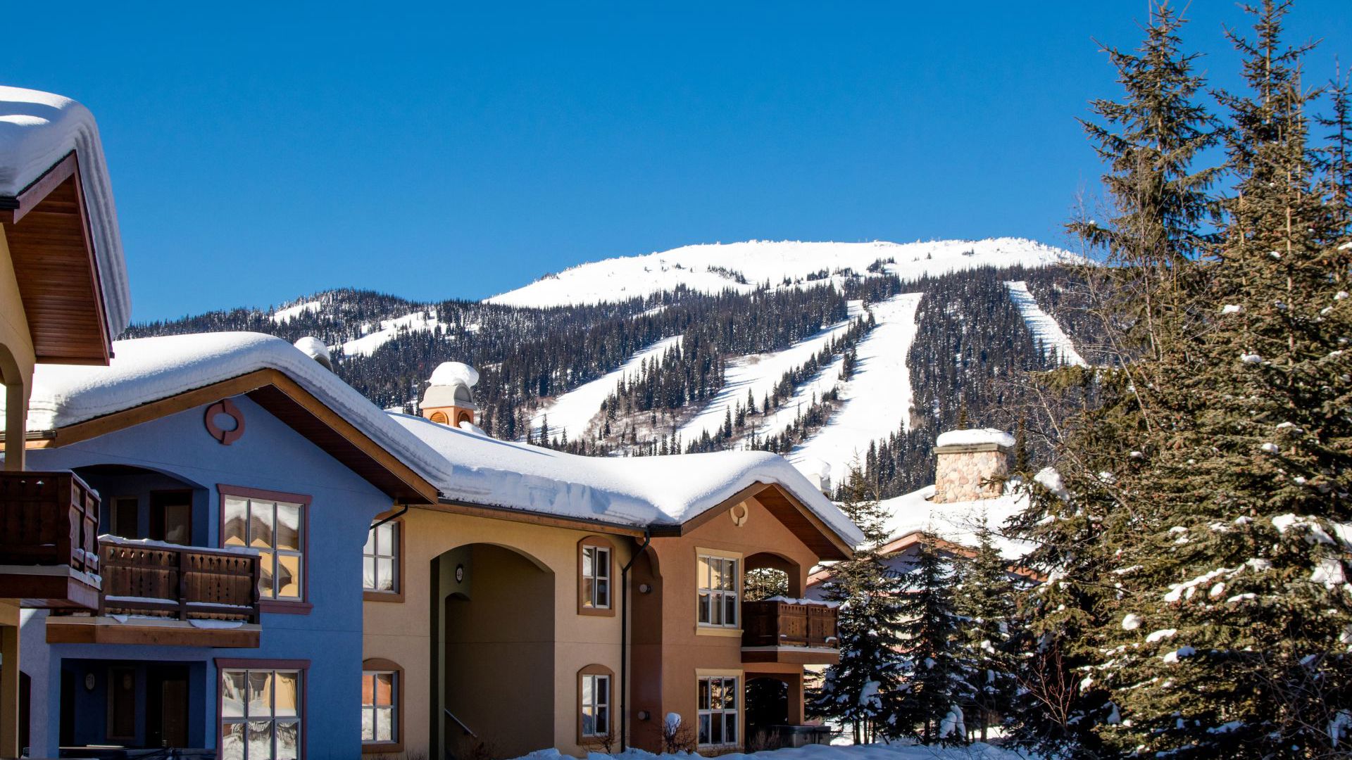 Sun Peaks - Crystal Forest