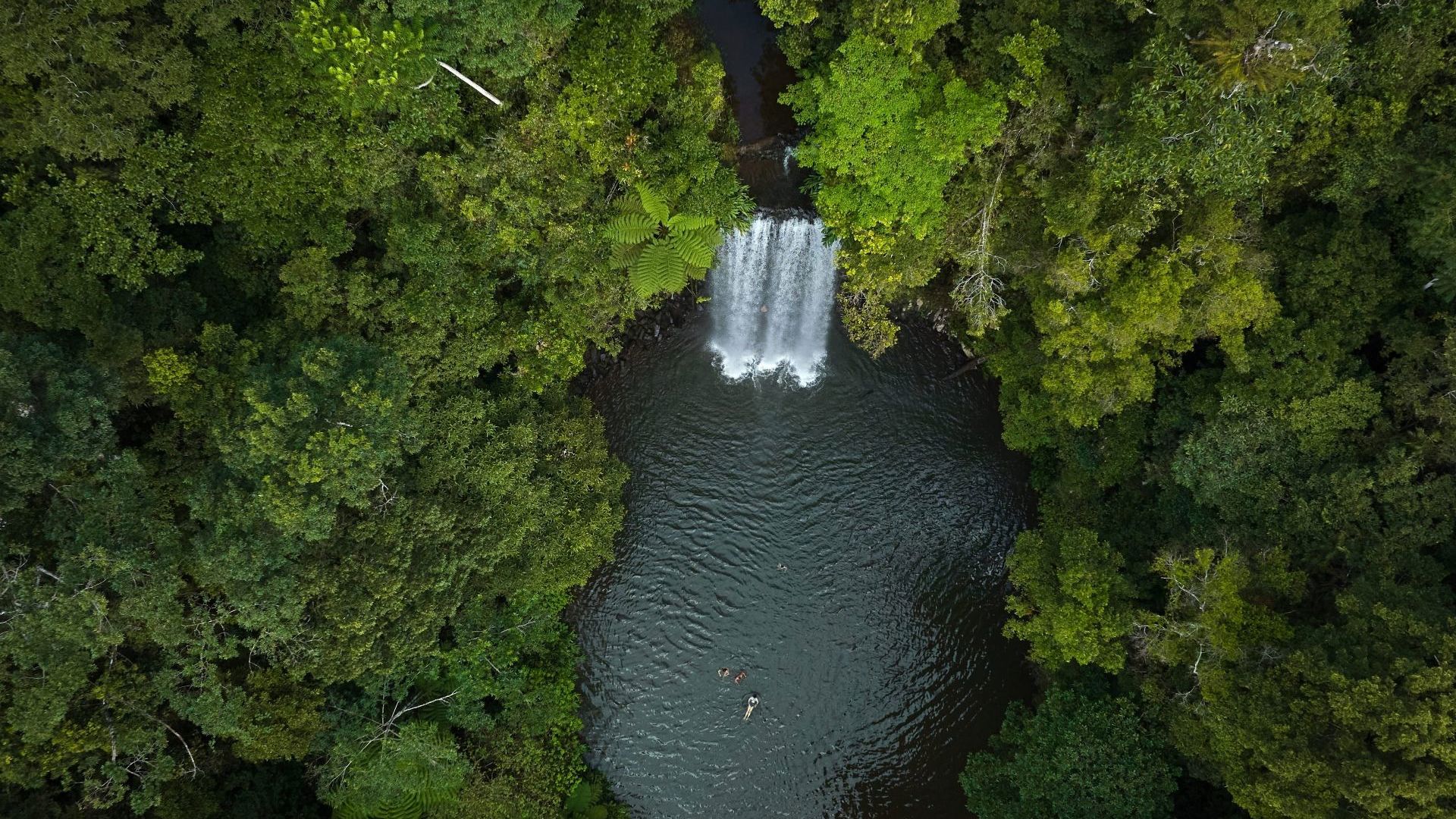 Millaa Millaa Falls Atherton Tablelands CR Tourism Australia
