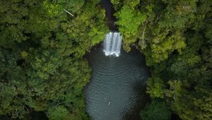 Millaa Millaa Falls Atherton Tablelands CR Tourism Australia