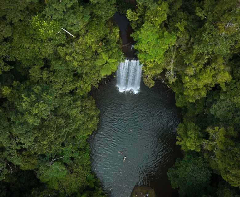 Millaa Millaa Falls Atherton Tablelands CR Tourism Australia