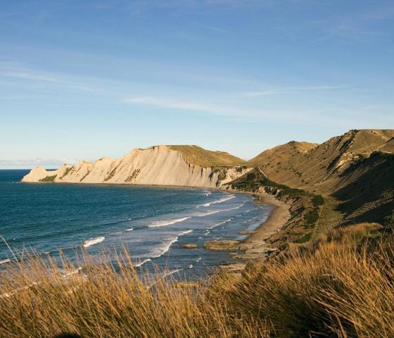Napier Coastline 