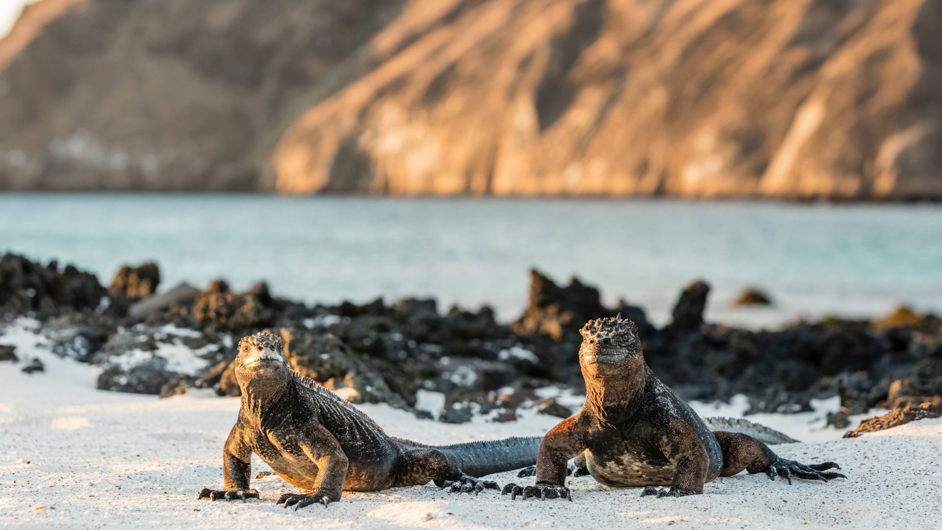 Galapagos - San Cristobal Island - Insider Galapagos