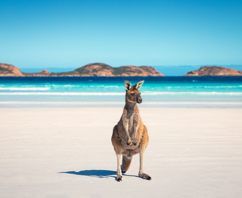 Discover a different Australia