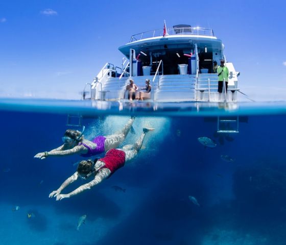 Snorkel & Dive Trip to the Outer Barrier Reef, Cairns