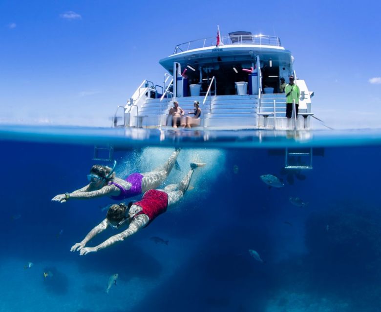 Snorkel & Dive Trip to the Outer Barrier Reef, Cairns
