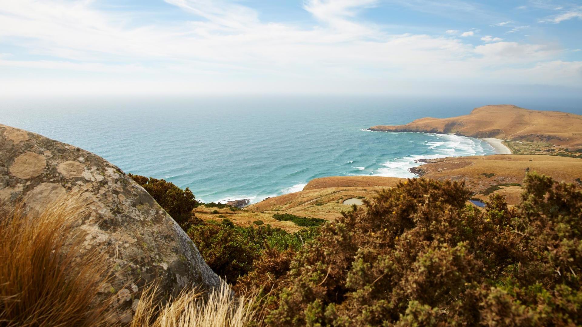 Dunedin Natural Wonders