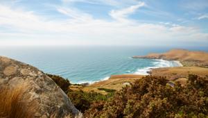 Dunedin Natural Wonders