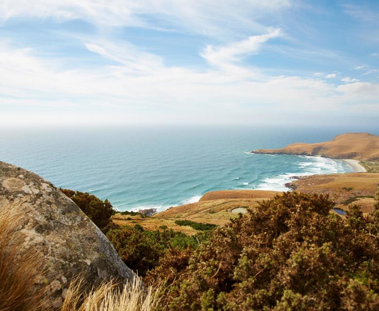 Dunedin Natural Wonders