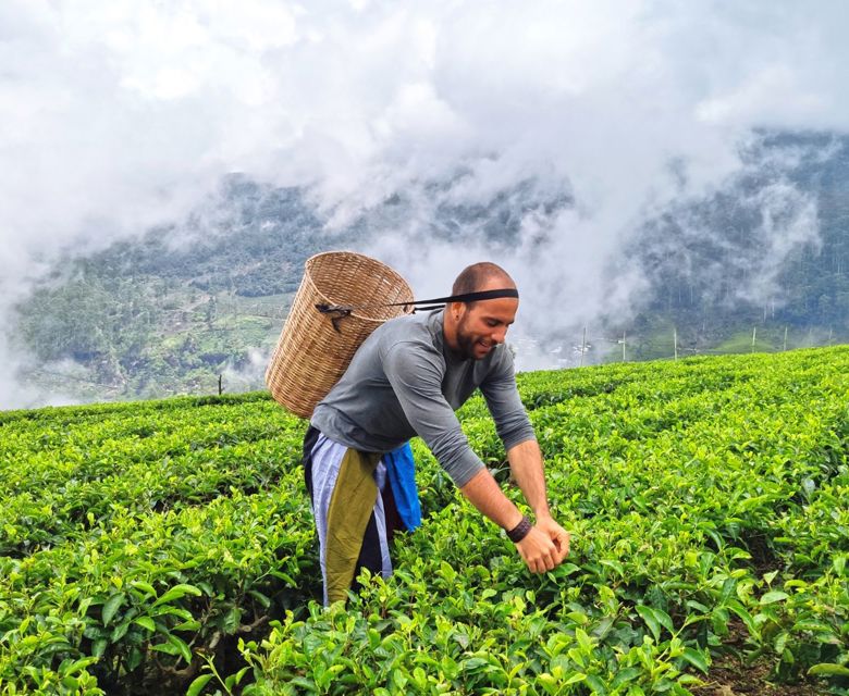 Nuwara Eliya, Sri Lanka with Total Holiday Options