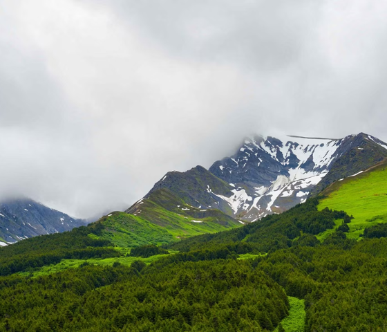 Chilkoot Trail Hiking Trail, Skagway, Alaska