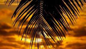 Tamanu Beach - Sunset