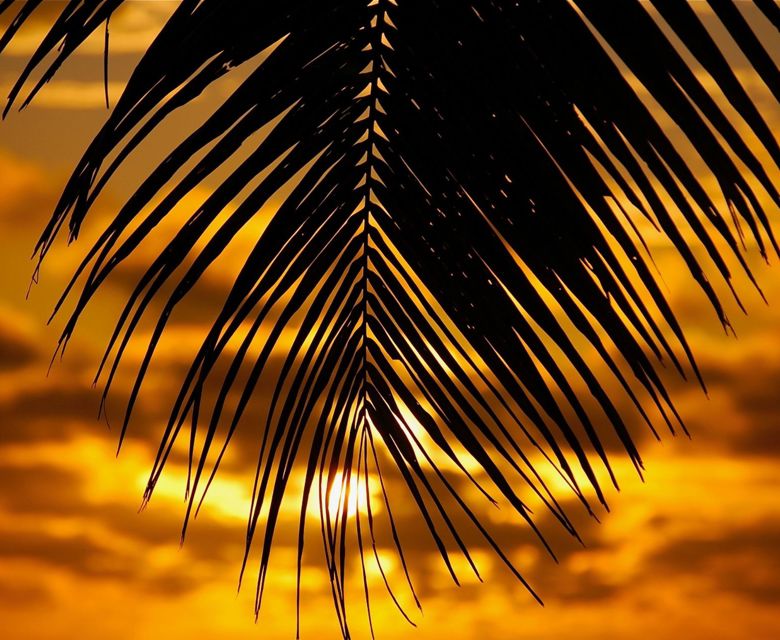 Tamanu Beach - Sunset