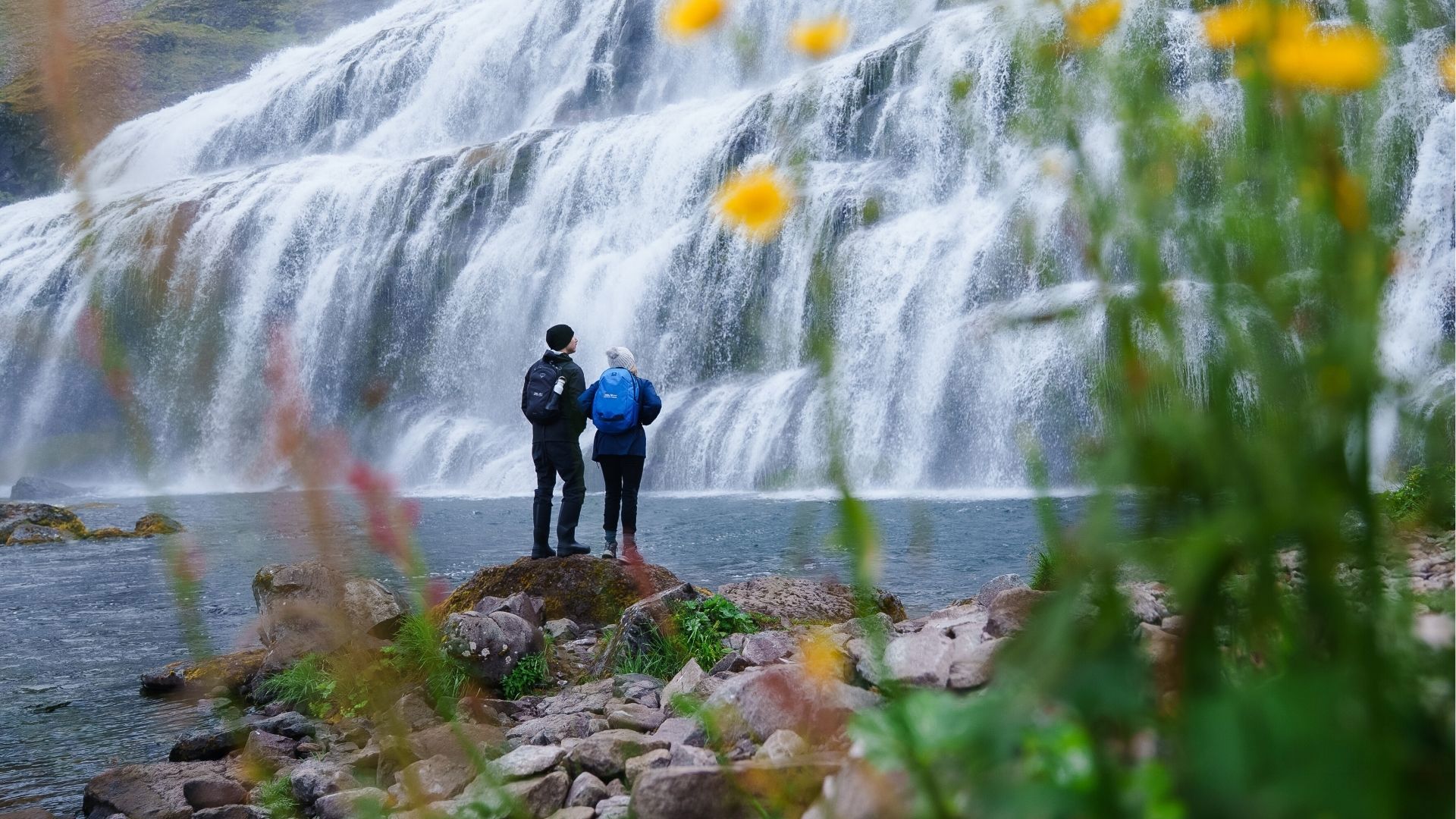 Dynjandi Waterfall - Westfjords