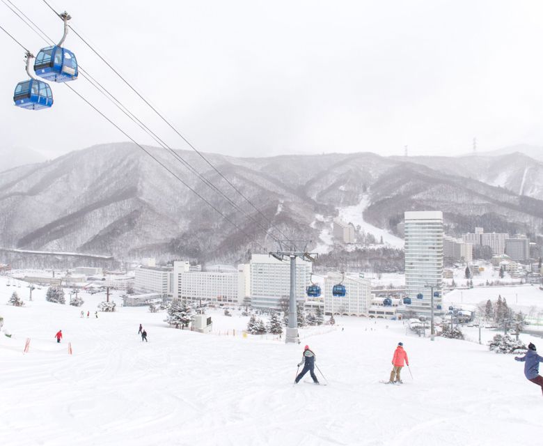 Stay & Ski Naeba - Travel & CO