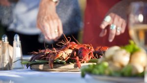 Unforgettable Houseboats Murray River Boat
