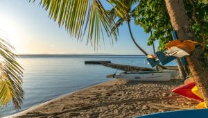 Toberua Island Resort - beach