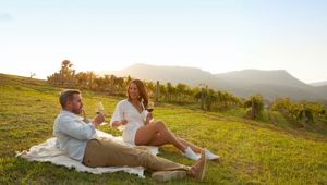 Hunter Valley Couple at Audrey Wilkinson 172789 © Destination NSW