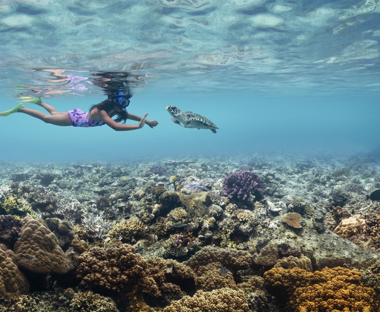  Giving Back to the Reef 