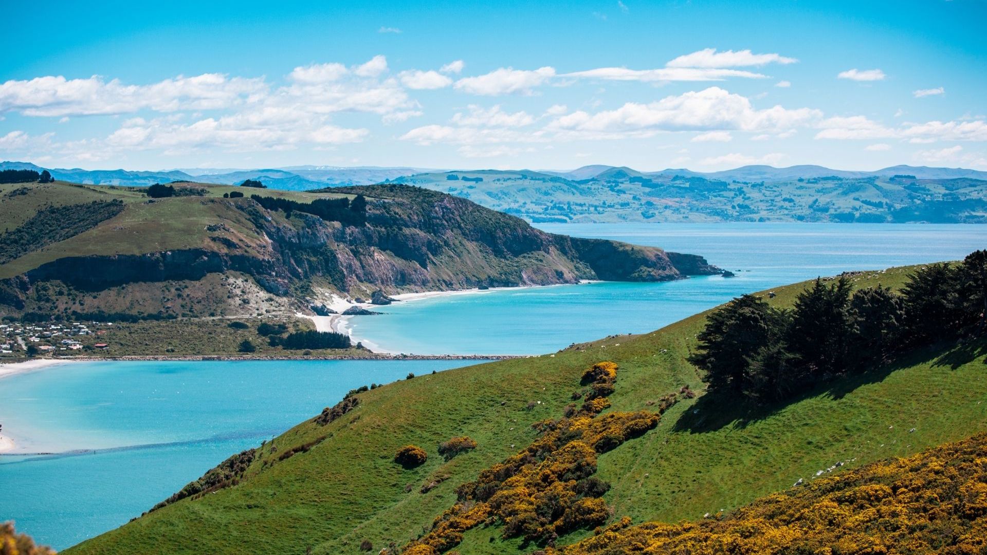 Dunedin New Zealand