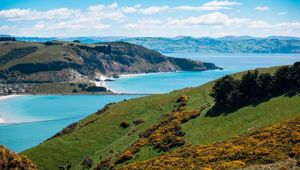 Dunedin New Zealand