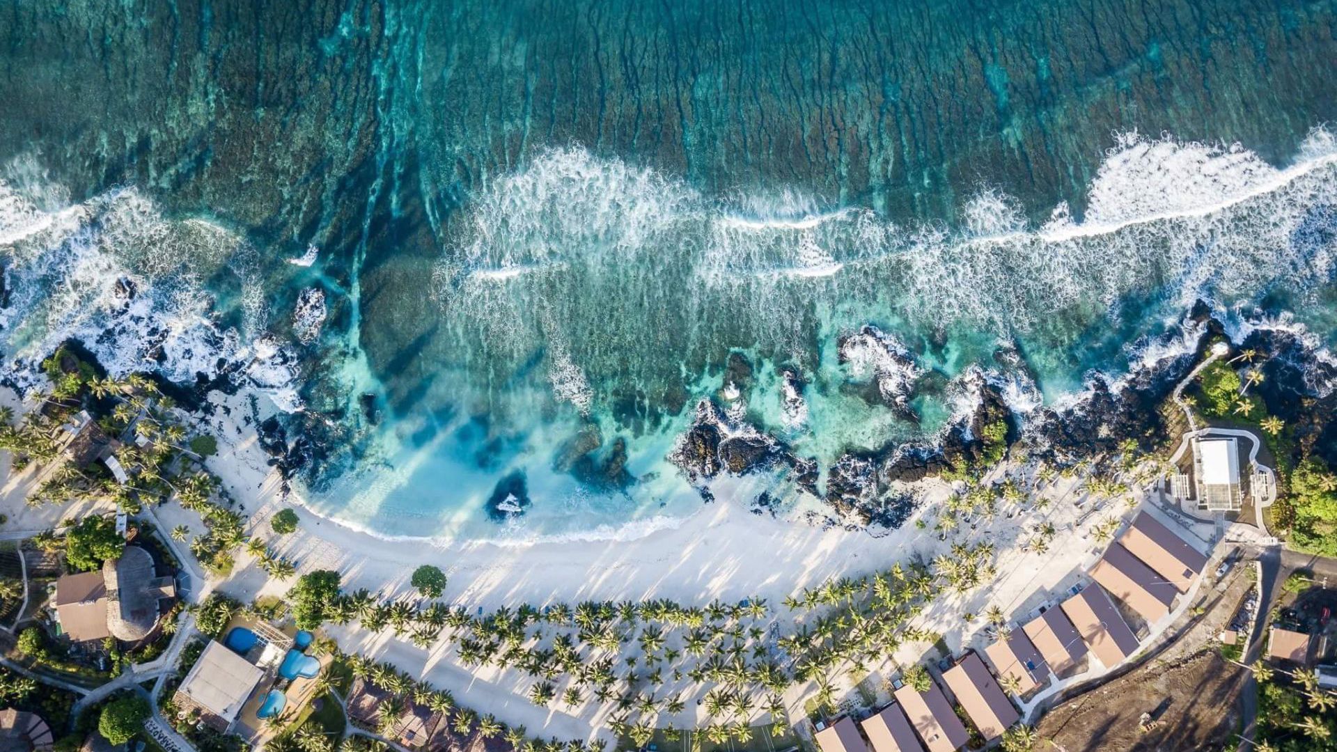 Return to Paradise Birds Eye View