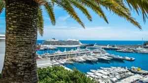 Monte Carlo