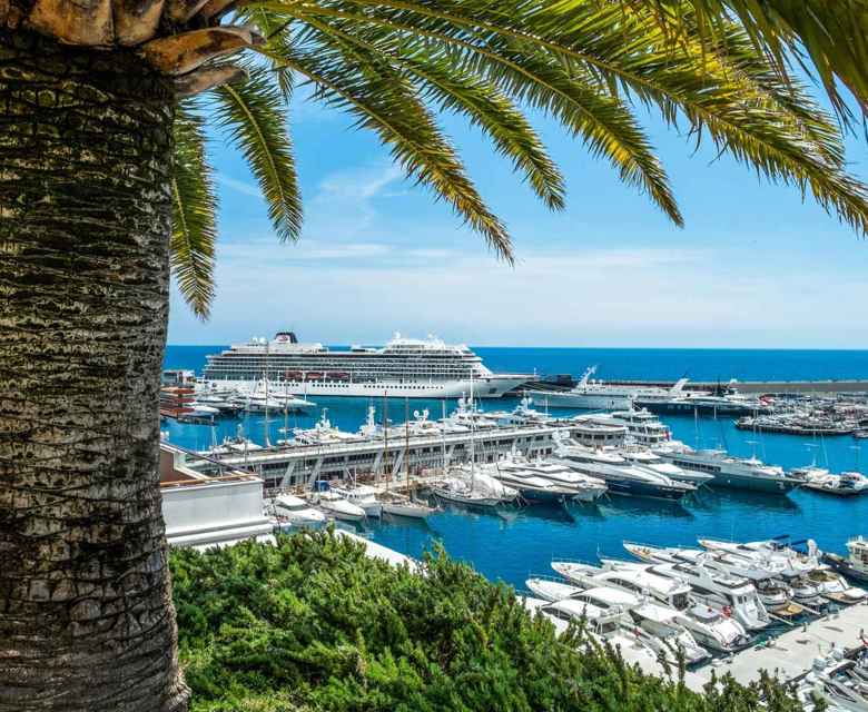 Monte Carlo