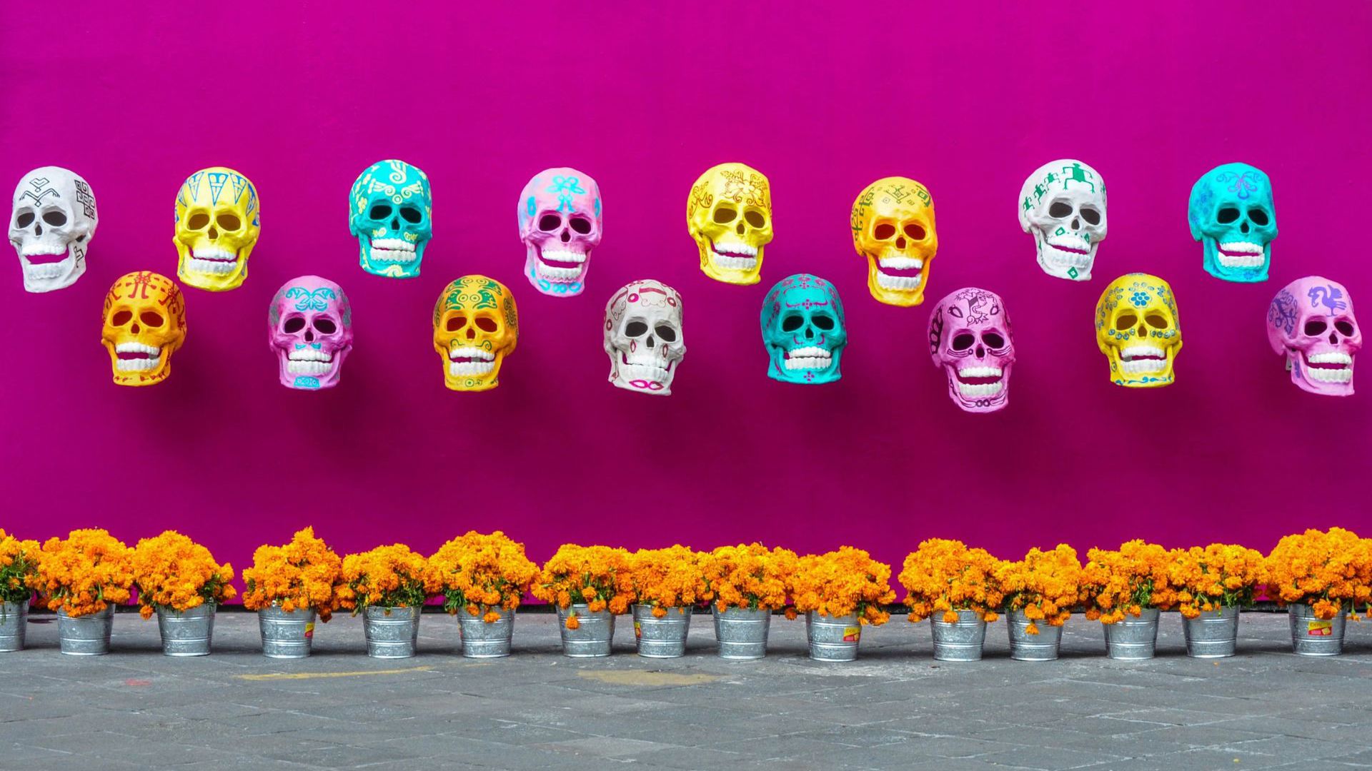 Paper Mache skulls brighten up the wall in Mexico. Image Credit: Getty