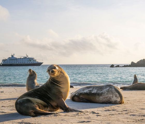 Ecuador Galapagos Islands Espanola Island