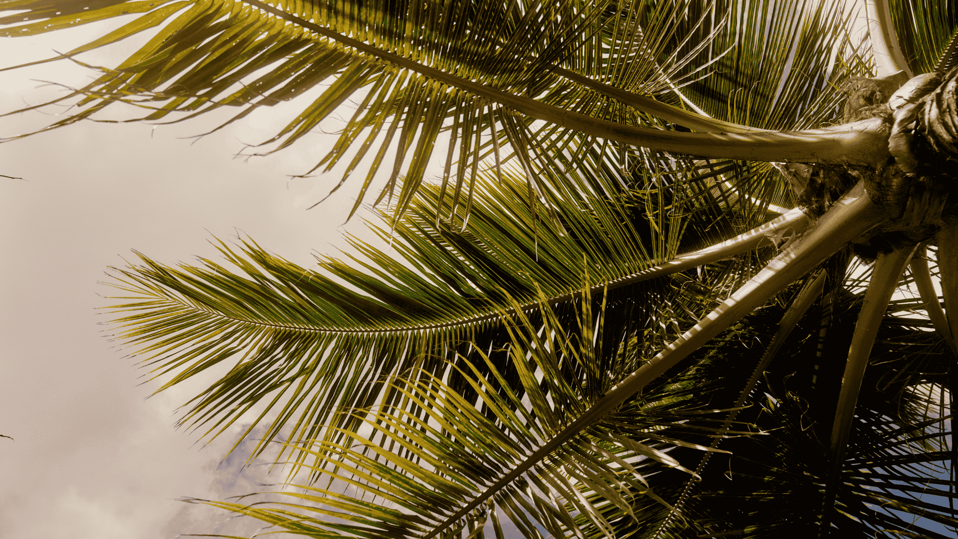Malamala Island, Fiji