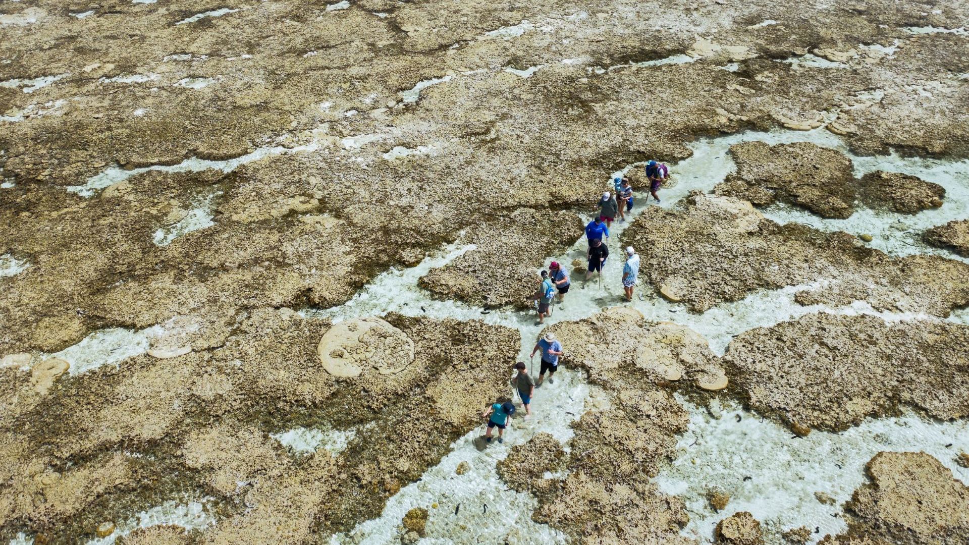Reef Walk