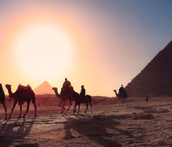 Safari Desert Egypt 