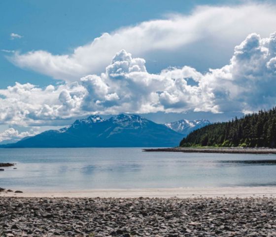 Ketchikan Landscap