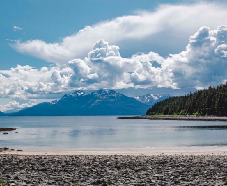 Ketchikan Landscap