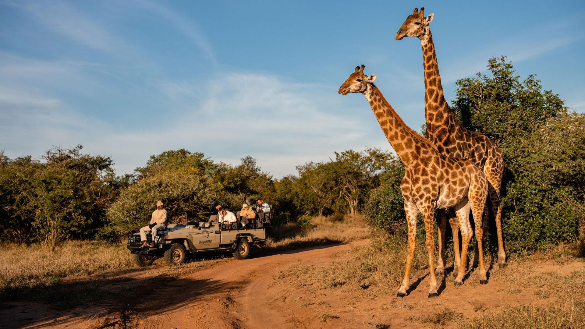 Cape to Kapama - Kapama Wildlife Game Drive