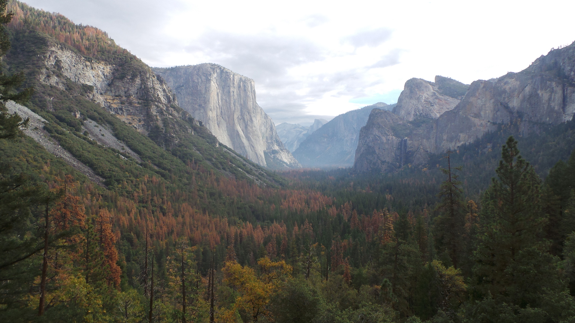 Yosemite National Park, USA