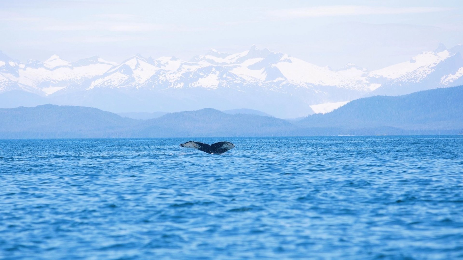 Icy Strait Point, Alaska