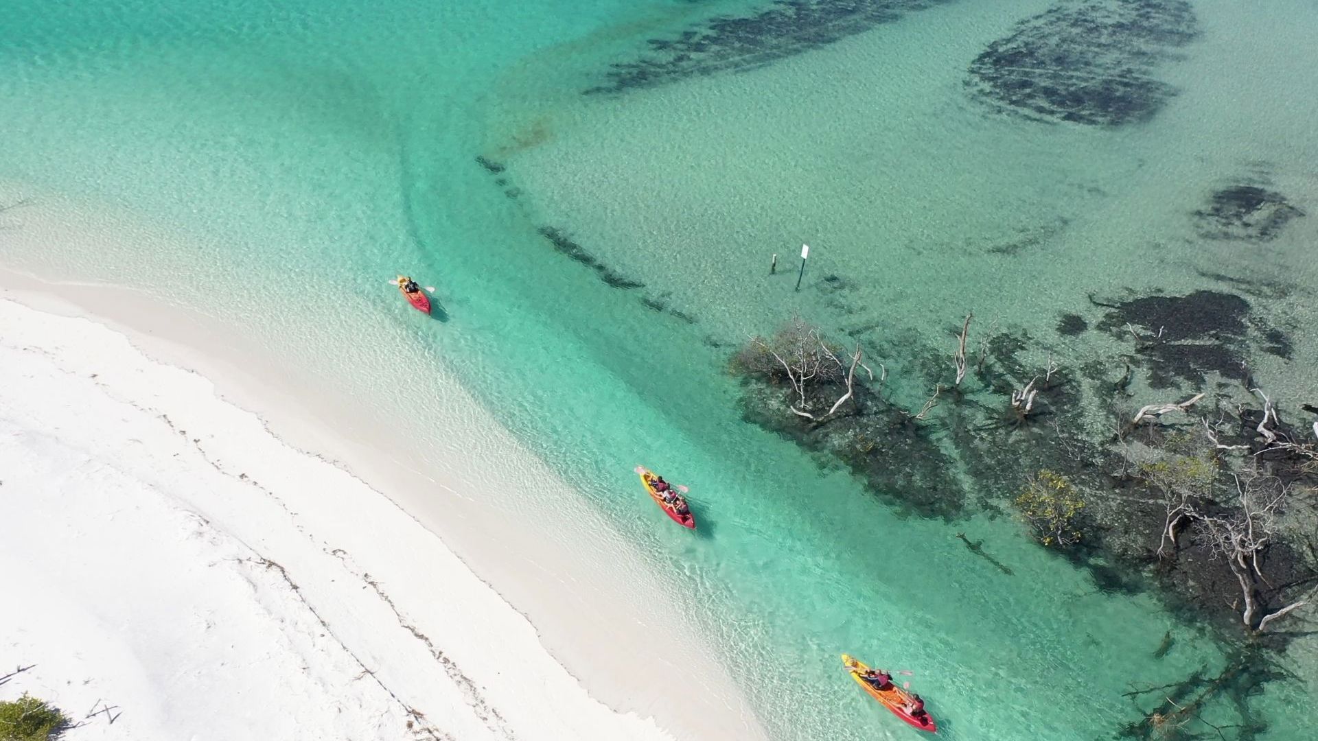 Tasman Venture Western Fraser 