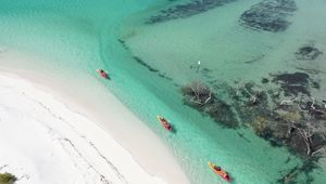 Tasman Venture Western Fraser 