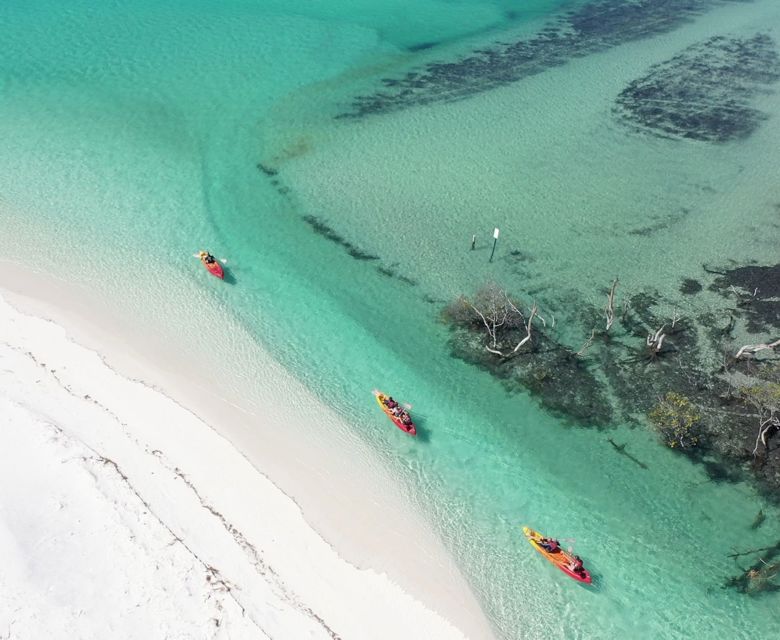 Tasman Venture Western Fraser 