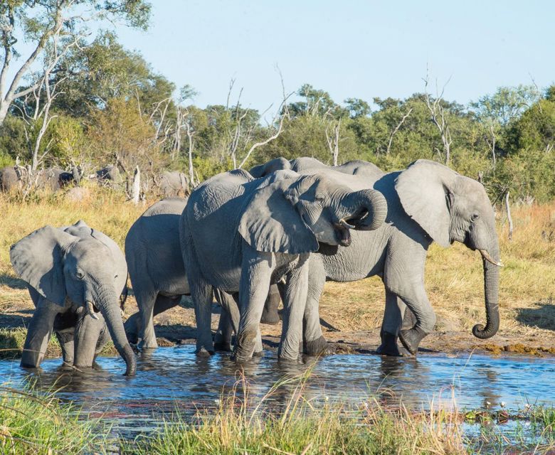 Sunway Botswana Moremi. Image credit: Bruce Taylor