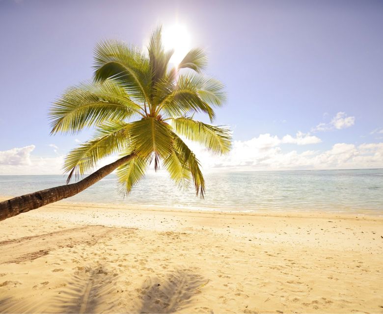 Tamanu Beach - Beach