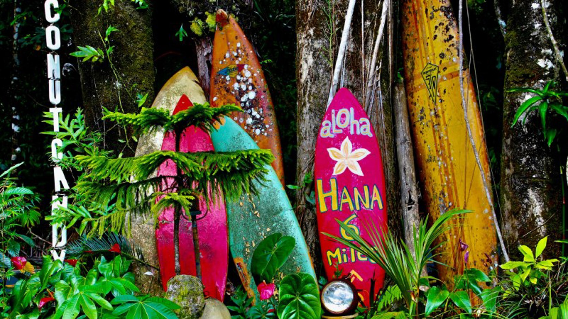 Colourful Hawaiian surfboards lined up - Image credit: Unsplash/Don Stouder