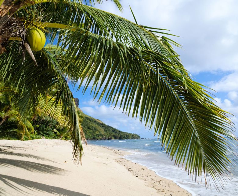 Waya Island Beachfront Coconuts