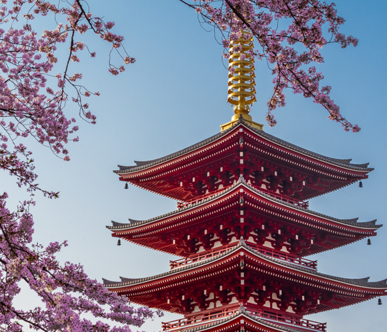Tokyo Sensoji Temple 