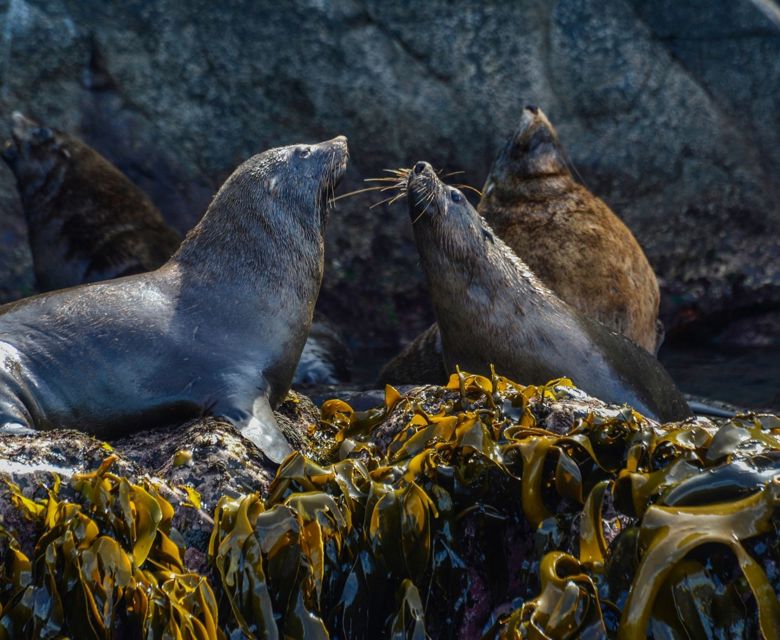 Outback Spirit Bruny Island © Journey Beyond 