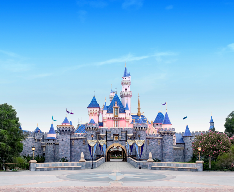 Disneyland Castle